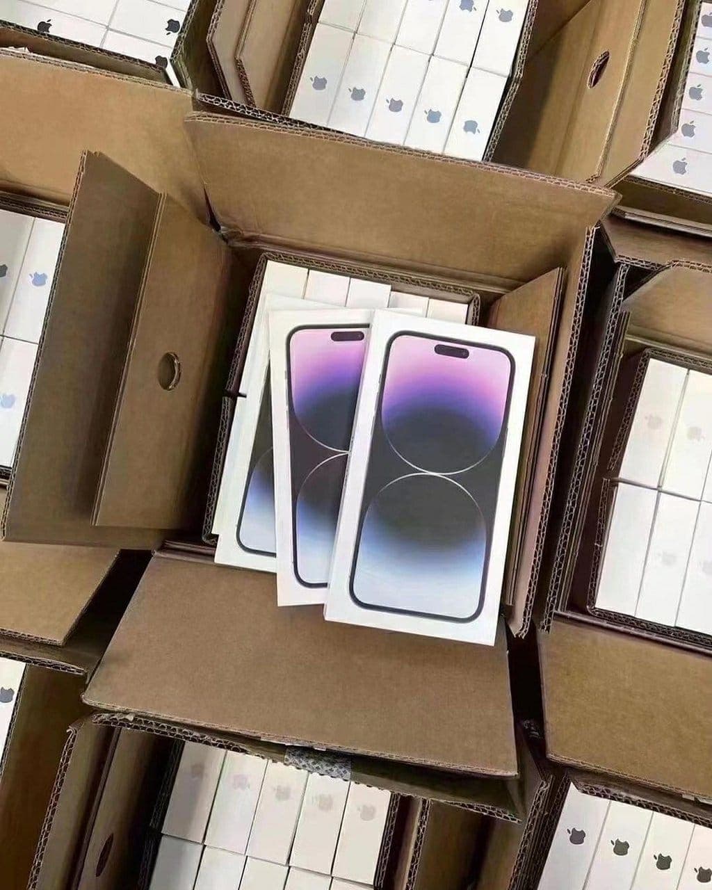 iPhone 14 Pro Max — vue 1